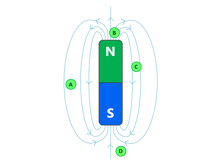 Practice Questions Vocabulary And Concepts