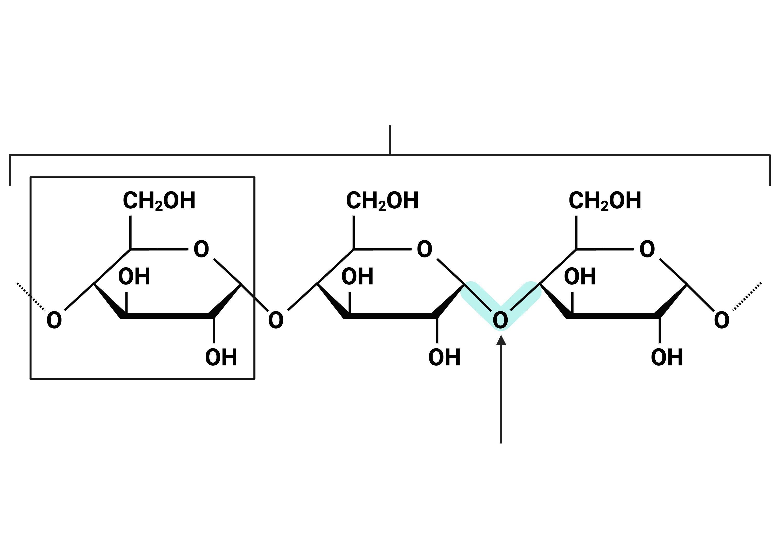 SEMESTER 1 REVIEW \u0026 EXAM Practice Questions - Unit 1: Functional Groups in  Macromolecules - Positive Physics, image size:3000x2100